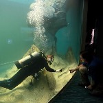 Michael at St. Louis Aquarium